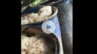 चौपारण: चौपारण के ग्राम भंडार परसतारी एवं आसपास के क्षेत्र में महुआ शराब के संचालित जलती भट्ठियों पर उत्पाद विभाग की कार्रवाई