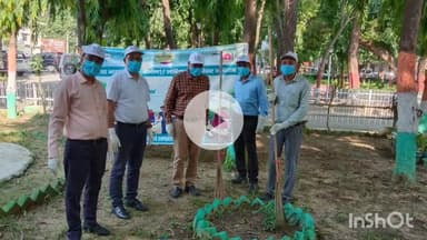 सासाराम: सासाराम के कलेक्ट्रेट में एक दिन एक घंटा सेवा पखवाड़ा के तहत रोहतास डीडीसी ने किया श्रमदान