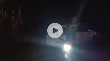 सिमडेगा: बाजार टोली में जंगली हाथी आने से लोगों में दहशत, उमड़ी भीड़