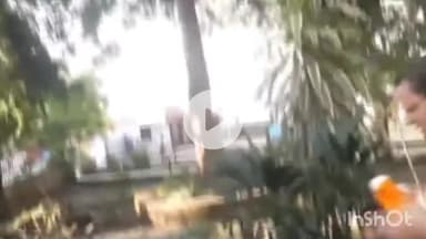 देहरादून: सीएम धामी ने दीनदयाल उपाध्याय की जयंती पर उनकी प्रतिमा पर किया माल्यार्पण