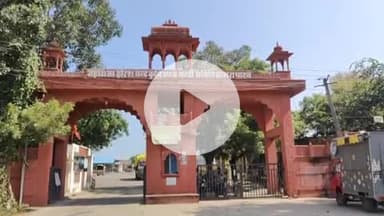 झालरापाटन: झालरापाटन मंडी में सोयाबीन की आवक, पिछले साल से ₹1200 कम भाव, प्रति बीघा उपज 3 क्विंटल से घटकर 50 किलो, किसान निराश