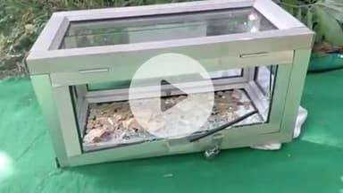 झांसी: शेरवुड स्कूल के पास दुर्गा पंडाल के दानपात्र से युवक ने चुराए 10 हजार रुपए, पकड़ने पर बोला- शौक पूरे करने के लिए की चोरी