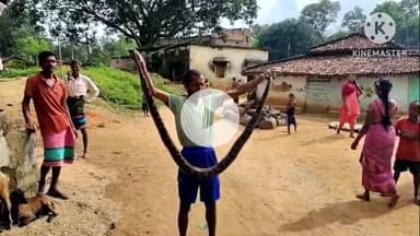 घाघरा: मकरा गांव में मिला 8 फीट का अजगर सांप, ग्रामीणों ने वन विभाग को सौंप दिया