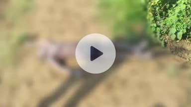 मेदिनीनगर (डालटनगंज): रेड़मा दक्षिणी तालाब से युवक का शव बरामद, पुलिस शिनाख्त में जुटी