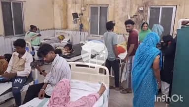 गोपालगंज: फतहा गांव में सनकी कुत्ते का आतंक, 15 लोगों को काटा, 8 अस्पताल में भर्ती