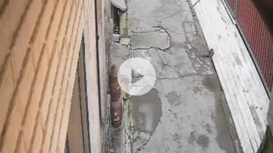 धनौरा: गजरौला शहर में बड़ी चोरी की घटनाएं, घर से मोबाइल और अन्य सामान चोरी, घटना सीसीटीवी में कैद, वीडियो वायरल