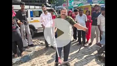 हरिद्वार: ऋषिकुल तिराहे पर धामण प्रजाति के सांप के आने से मची अफरा-तफरी, स्नेक कैचर भोला और उनकी टीम ने किया रेस्क्यू