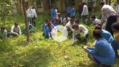 सागर नगर: बीएमसी में स्वच्छता उत्सव का हुआ आयोजन, परिसर की सफाई कर स्वच्छता का दिया गया संदेश