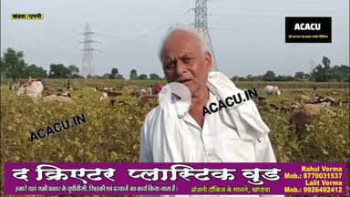 पंधाना के किसान ने खराब सोयाबीन की फसल जानवरों को खिला दी.बोले,"सरकार किसान की ओर देखे"