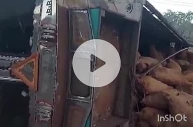 हरिद्वार: नजीबाबाद राष्ट्रीय राजमार्ग पर तिरछे पुल के पास सेब से भरा ट्रक पलटा, देर रात तक थानाध्यक्ष रहे बेखबर