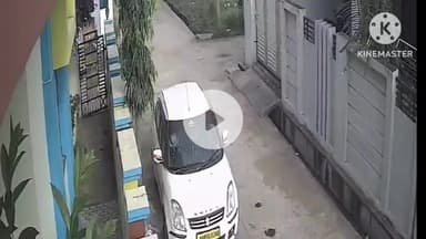 मंठा: शहरातील काही प्रभागात मोकट कुत्र्यांचा सुळसुळाट तात्काळ बंदोबस्त करण्याची नगरपंचायत ला निवेदनाद्वारे नागरिकांची मागणी