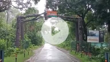 बीसलपुर: गजरौला थाना क्षेत्र से रेस्क्यू हुआ तेंदुए का शावक, लखनऊ चिड़ियाघर भेजा गया