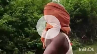 ब्यौहारी: देवलौंद के अमिलिहा गांव में जहरीले कीड़े के काटने से युवक की मौत, जांच जारी