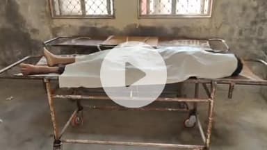 झालरापाटन: प्रेम पुरिया गांव में सांप के डंसने से एक युवक की हुई मौत