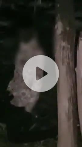 नरवल: महाराजपुर थाना क्षेत्र में पारिवारिक कलह के चलते एक व्यक्ति ने फांसी लगाकर आत्महत्या की