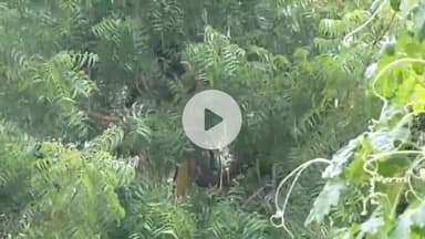 लाडपुरा: कोटा: नयापुरा क्षेत्र में दोपहर की तेज बारिश से मौसम बदला, उमस और गर्मी से लोगों को मिली बड़ी राहत