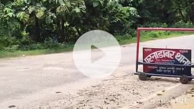 सिरदला: दुर्गा पूजा में खपाने की तैयारी थी, परनाडाबर पुलिस ने पहले ही पकड़ी 78 लीटर विदेशी शराब