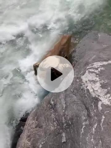 घाट: नदी के तेज बहाव में बहे सुतोल गांव के नरेंद्र सिंह का शनिवार को नहीं लगा सुराग, पुलिस व एसडीआरएफ ने सर्च अभियान चलाया