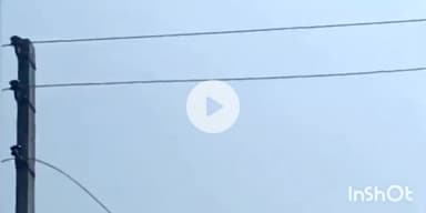 बागपत: सादिकपुर सिनौली के पीड़ित ने SE बागपत से की शिकायत, खेत में विद्युत पोल लगाकर कनेक्शन देने और लाइन चालू करने का आरोप