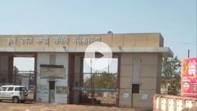 बासोदा: गंजबासौदा कृषि मंडी में 4 दिनों तक डाक नीलामी बंद रहेगी