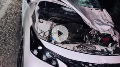 बाड़मेर: माधासर गांव के नेशनल हाईवे पर सड़क पर भैंस आने से लग्जरी कार टकराई, बड़ा हादसा टला