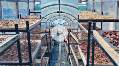 झाबुआ: झाबुआ के किसानों को आत्मनिर्भर बनाने के लिए तीन दिवसीय शैक्षणिक भ्रमण दल इंदौर भेजा गया