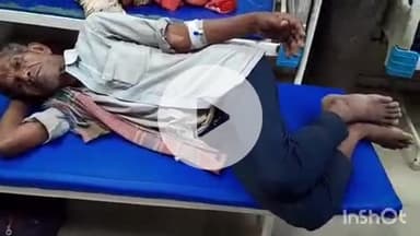 हाथरस: दो थाना क्षेत्र में सांपों का आतंक बरकरार, खेत पर फसल काटने और निगरानी करते समय तीन लोगों को काटकर किया घायल, उपचार जारी