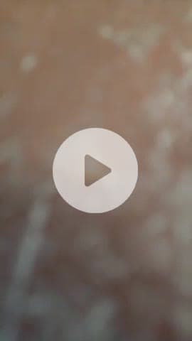 प्रतापगंज मे ट्रक पलटी।किसी को कोई चोट नाही आई