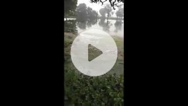 सिराथू: साईं का पूरा के तालाब में हजारों मछलियों की मौत, मछली पालक ने कहा- पानी में डाला गया ज़हर