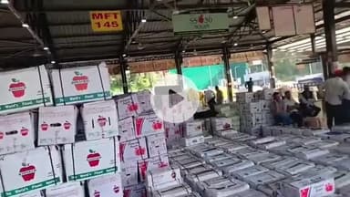 सोलन: सोलन से मंडी में किन्नौर के सेब की कीमतों में तेजी