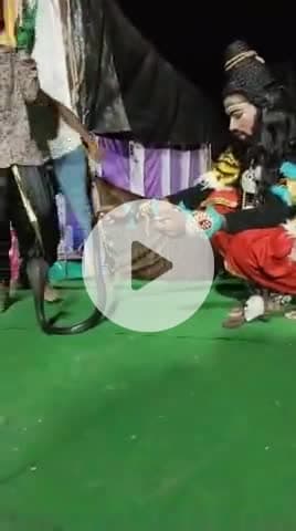 छीपाबड़ौद क्षेत्र के ग्राम पंचायत अजनावर के गांव बरावदा मे माँ कलिका नवयुवक मंडल द्वारा नवरात्रि शनिवार को इस प्रकार रहा