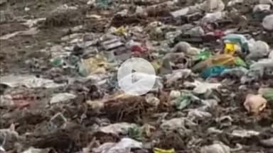 बासोदा: गंजबासौदा में श्रमदान दल ने 'श्रमदान अभियान' शुरू किया, बेतवा नदी की सफाई का उठाया बीड़ा