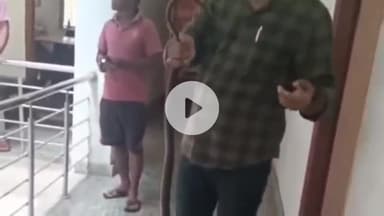 कांके: रांची के डोरंडा थाना में सांप निकलने से हड़कंप, किया गया रेस्क्यू