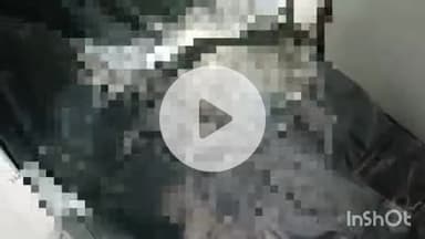 बहराइच: जोलाहनपुरवा में महिला ने फांसी लगाकर आत्महत्या की, पुलिस जांच में जुटी