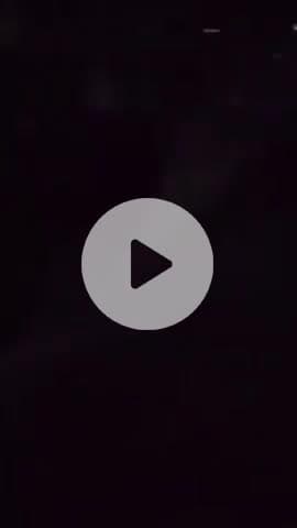 शामली: काकानगर में एक ही पॉइंट पर नजर आए 8 आवारा कुत्ते, लोगों ने वीडियो वायरल कर नगरपालिका ईओ से कार्रवाई की मांग की