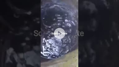 नालागढ़ गुलरवाला कुएं में तैरते चार ज*ह*रीले* सां*पों का ड"रा" व"ना नजा" रा,  द*ह*शत का माहौल