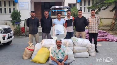 રાણાવાવ: રાણાવાવ પોલીસે  સાજણાવાળા નેશ વિસ્તારમાંથી છકડો રિક્ષામાંથી દેશી દારૂનો જથ્થો ઝડપી લીધો