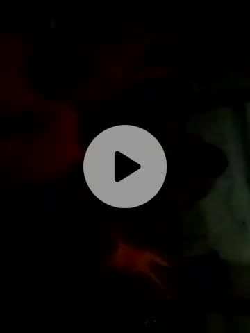 देखिए बांसुरी पंचायत हो रहा है ठीक है