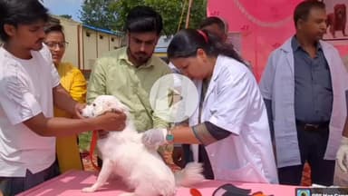 कोडरमा: वर्ल्ड रेबीज दिवस पर कोडरमा में पशुपालन कार्यालय द्वारा एंटी रेबीज टीकाकरण शिविर का आयोजन