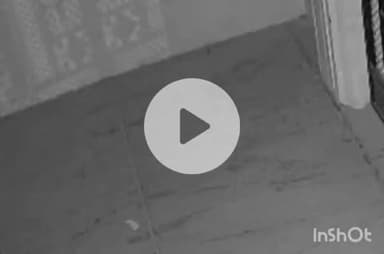 देसूरी: सादड़ी के सिन्दरली में जेवर और दो बाइक चोरी, ग्रामीण थाने पहुंचे और वारदातों का खुलासा करने की मांग की