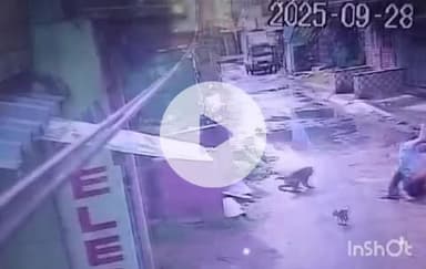 ବାରଙ୍ଗ: ବାରଙ୍ଗ ଦାଢ଼ା ପାଟଣା ଅଞ୍ଚଳରେ ରବିବାର ପାତି ମାଙ୍କଡଙ୍କ ଉତ୍ପାତ। ରାସ୍ତାରେ ଲୋକଙ୍କୁ ଗୋଡ଼ାଇ ଗୋଡ଼ାଇ କାମୁଡ଼ିଲା