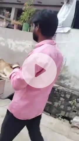 श्री सांवरिया सेठ जन सेवा समिति के द्वारा आज एक घायल बछड़े का इलाज किया गया आशा करते है कि जल्द से जल्द ठीक हो जाएगा 🙏