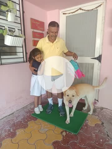 दौड़ भाग की जिंदगी में, सेहत चकनाचूर। दिन रात चलते रहने से, हृदय हुआ मजबूर। तुम हो कि मेहनत नहीं करते, आराम से सोते रहते