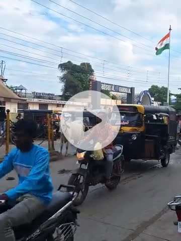 खंडवा रेलवे स्टेशन के सामने आवारा पशुओं के कारण रोज यातायात बाधित होता है नगर निगम को ध्यान देना चाहिए