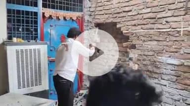 लाडपुरा: शहर की गणेश कॉलोनी में 5 फीट लंबा कोबरा दो मकानों की दीवार के नीचे घुसा, दीवार तोड़कर किया गया रेस्क्यू