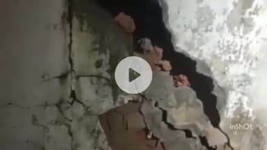 महू में बिजली के तारों पर लटका बड़ा पेड़, हादसे का डर, वीडियो वायरल, अधिकारी बेखबर