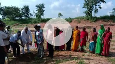 डोमचांच: डोमचांच के पचगावां में नमो वन कार्यक्रम के तहत 200 फलदार पौधे लगाए गए