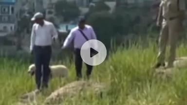 ओरमांझी: बूटी मोड़ स्थित पानी टंकी के ऊपर मिला अज्ञात युवती का शव, पुलिस जांच में जुटी