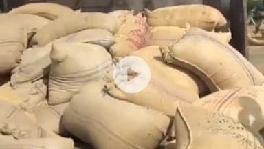 बासोदा: बासौदा: मर्दा खेड़ी के पास गेहूं से भरी ट्रॉली पलटी, यातायात बाधित