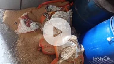 मावली: सगतडी गांव में घरेलू गैस सिलेंडर के रिसाव से घर में लगी आग, पति-पत्नी और दो बच्चे झुलसे, सभी एमबी अस्पताल में भर्ती